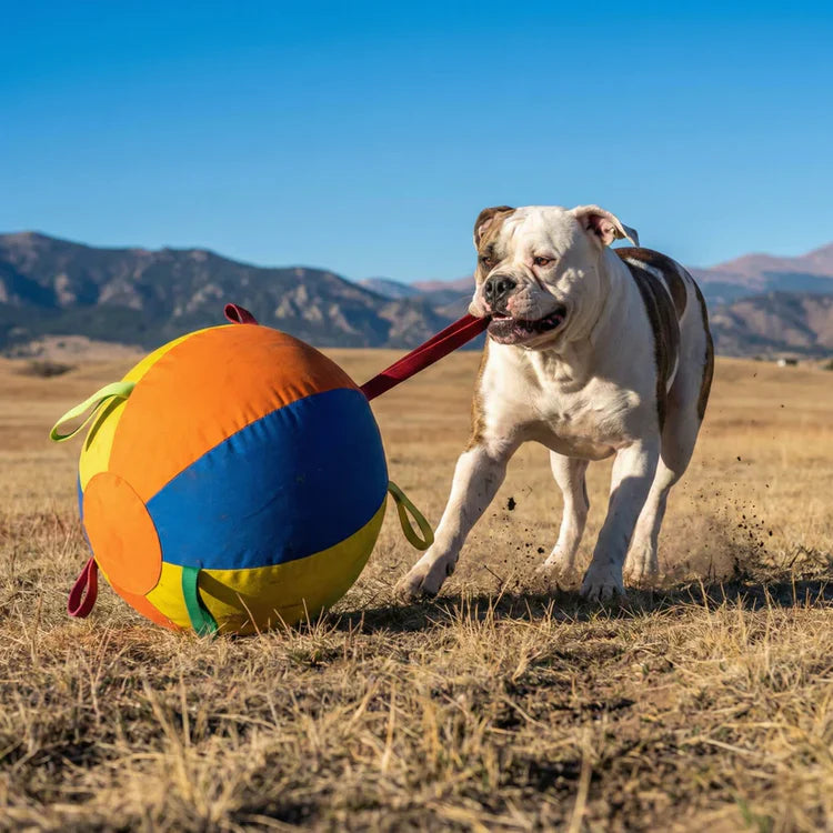 Dog Giant Ball™