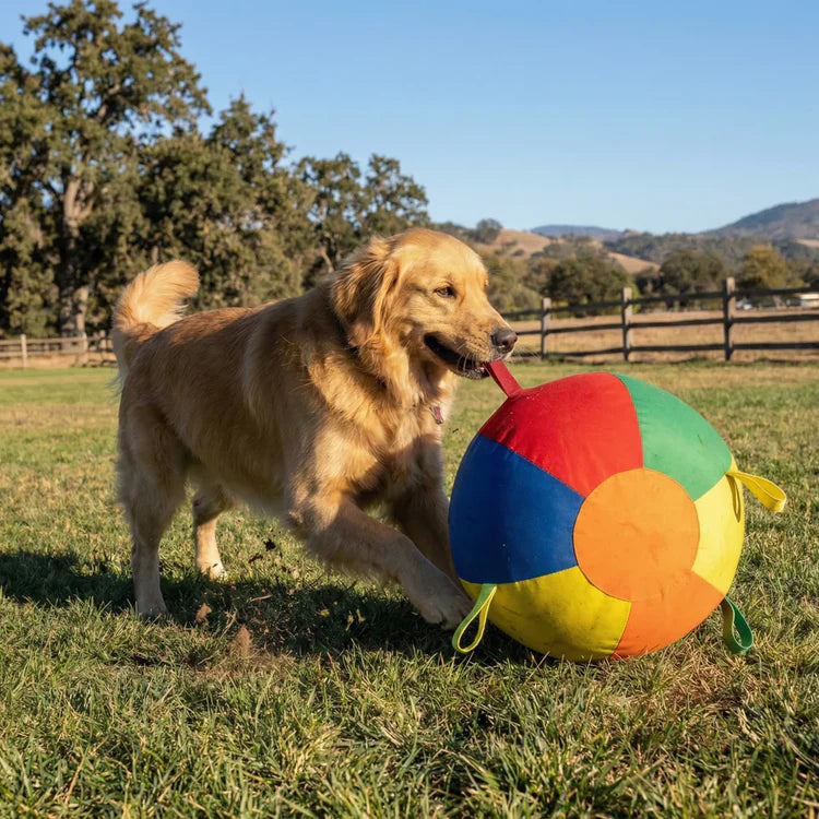 Dog Giant Ball™