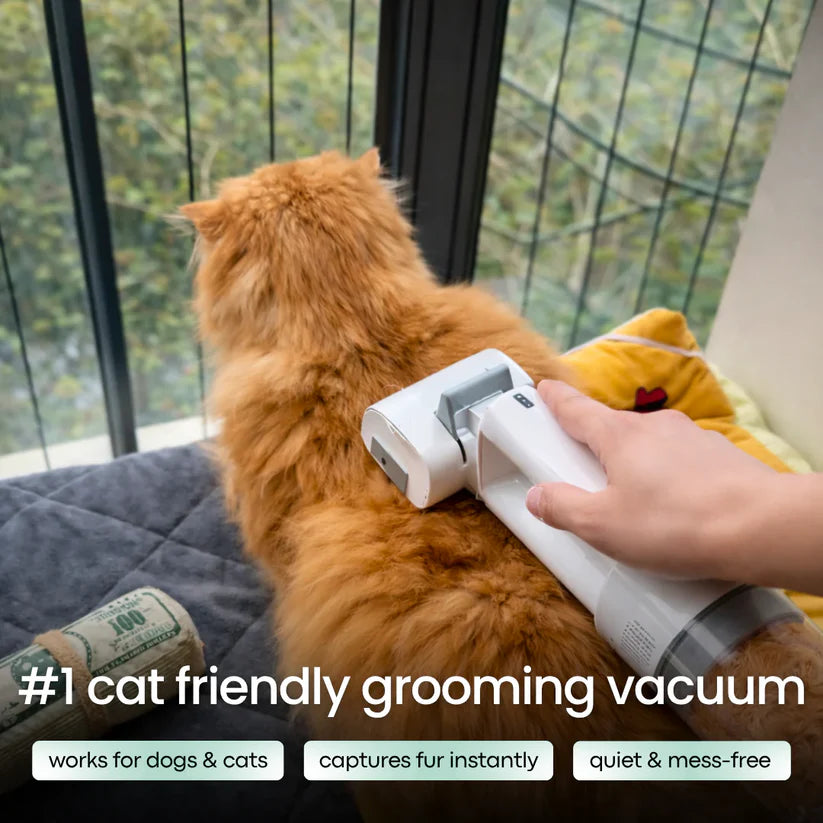Pet Grooming Kit